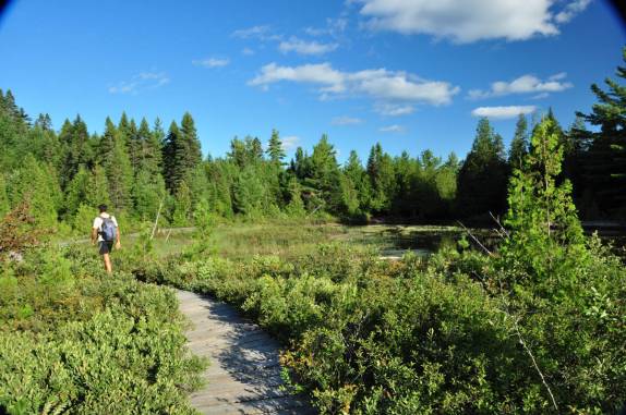 Trilha no Parc National de La Mauricie, província de Quebec, no Canadá